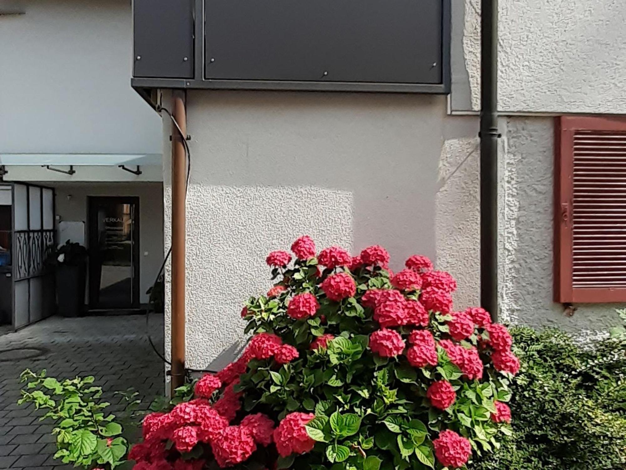 Ferienwohnung Im Fischerhaeusle Nonnenhorn Ngoại thất bức ảnh